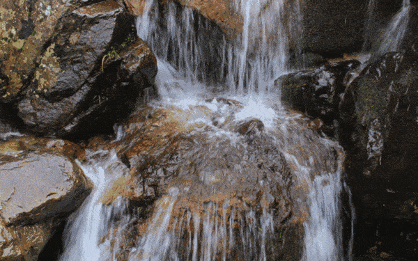 1648381163331904.gif 111231.gif