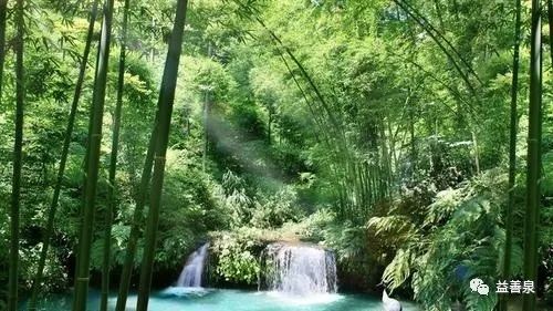 1648381180359438.jpg 111232.jpg