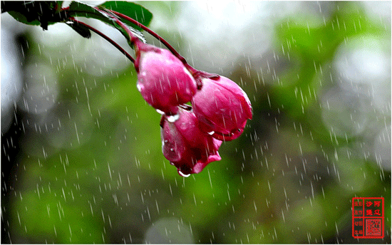 1721355288605938.jpg 1e30e924b899a901b627787210950a7b0208f560.jpg