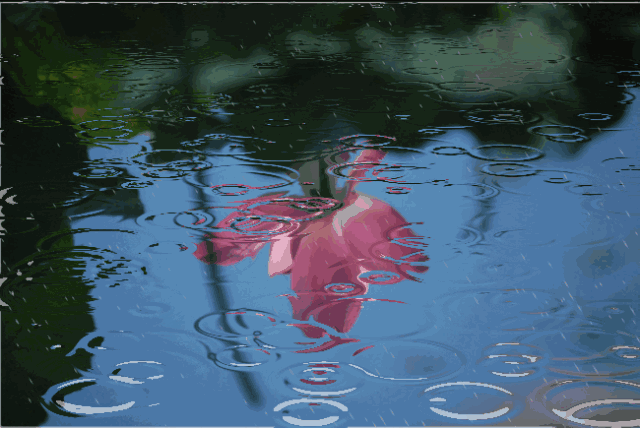 1721355451673170.gif ee5f-hencxtu5948104.gif