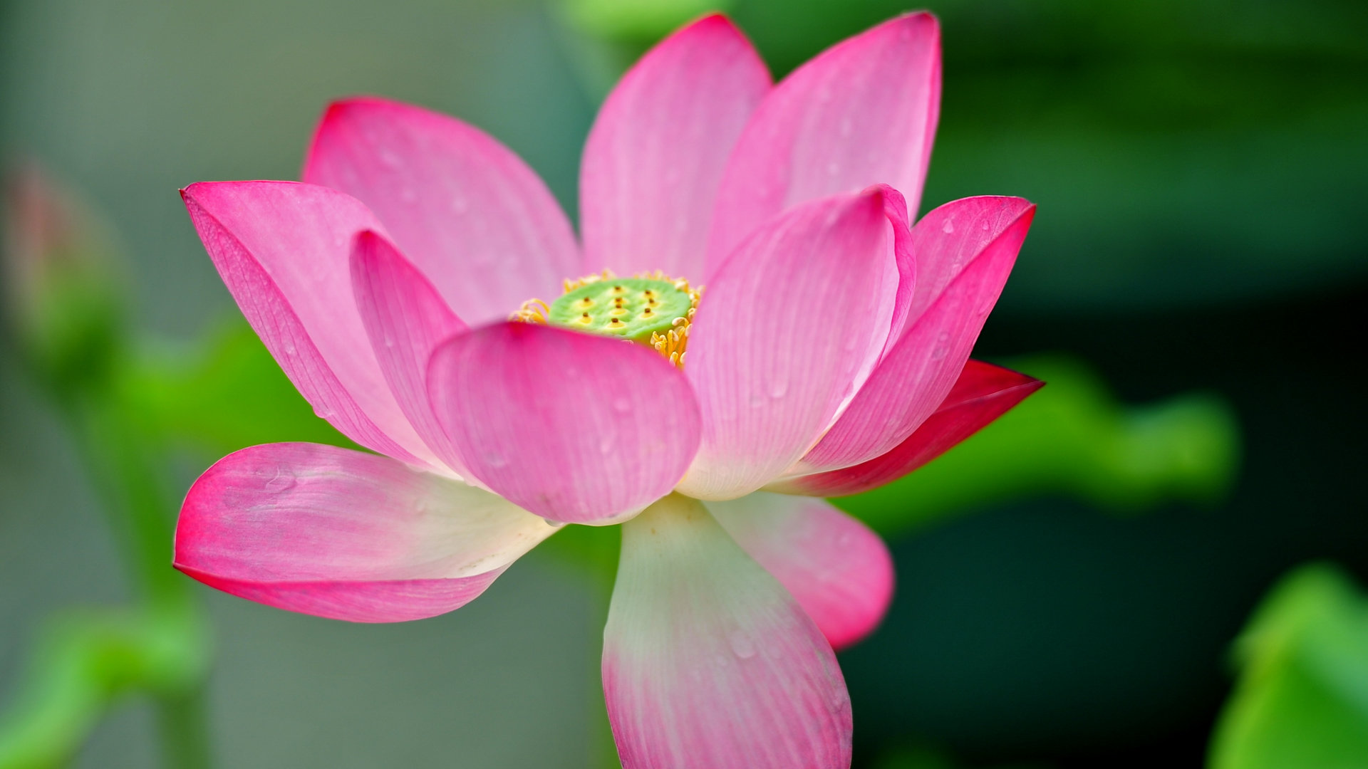 1721612985890473.jpg 1721612985890473.jpg