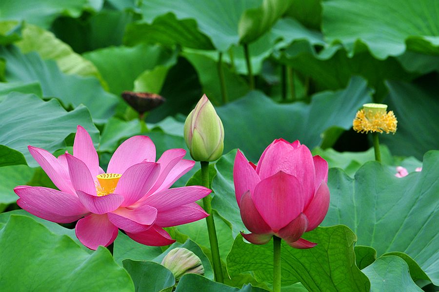 1721613132682364.jpg 128.jpg